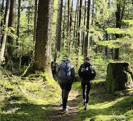 Forest Therapy for Healthcare Professionals